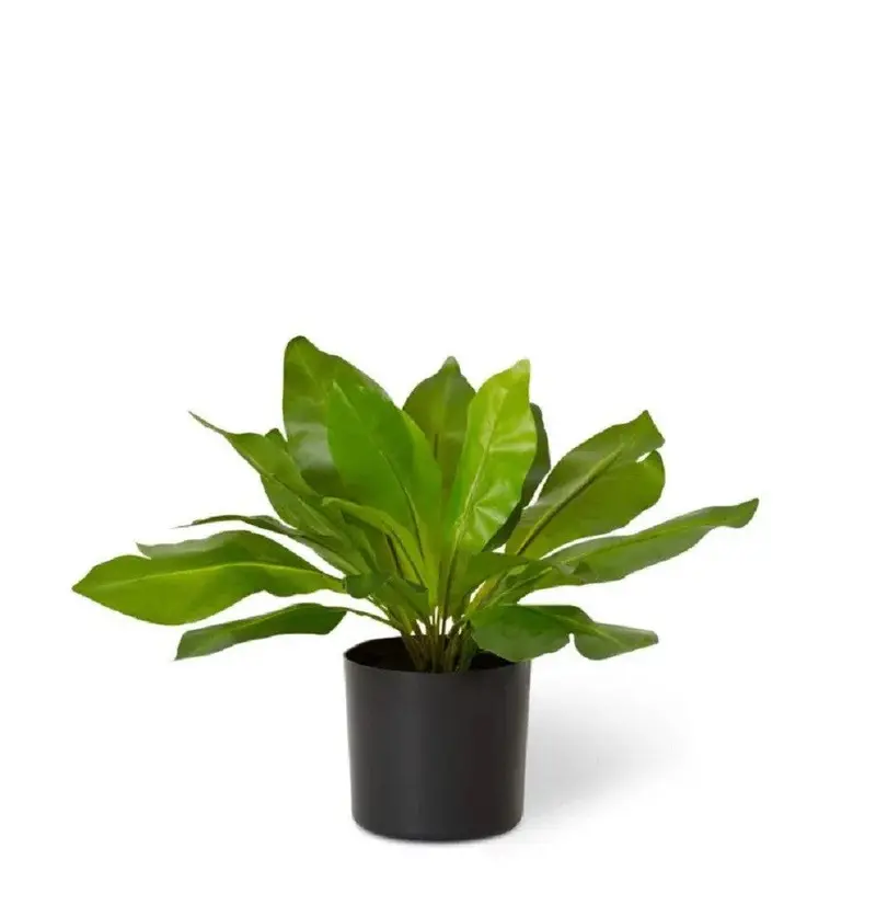 Elme Birds Nest Potted Artificial Plant – Green, 20X20X32Cm 1